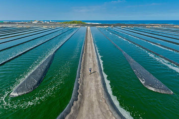 Blue Spirulina: An Ancient Story of Lakes, Warriors and Tradition