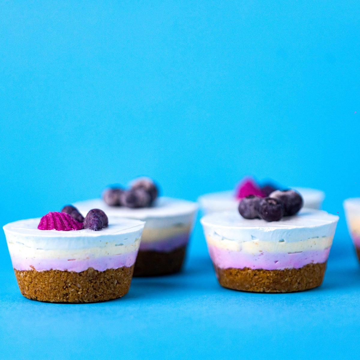 Colorful No-Bake Mini Cheesecakes