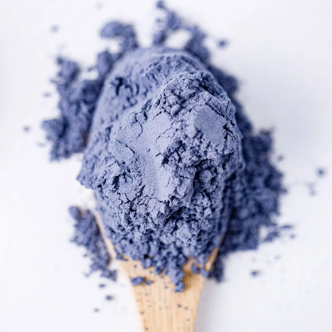 Butterfly Pea powder in a deep blue shade, natural food coloring for creative recipes and culinary uses.