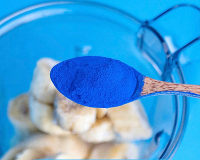 Spoon with blue powder over a blender on a blue background