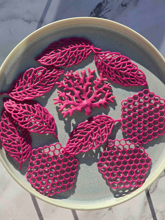 Tuile with pink dragon fruit Yess Superfood 